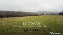 Teren deosebit 3,5HA zona Cisnadioara
