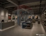 Spațiu pretabil comercial Aviatorilor, Charles de Gaulle