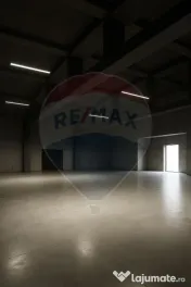 Spațiu pretabil comercial Aviatorilor, Charles de Gaulle