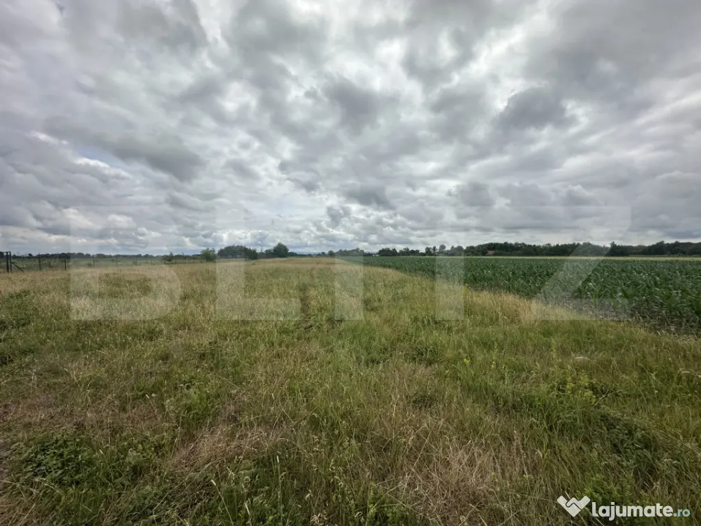 Teren extravilan 5000mp de vânzare – Zona Amati