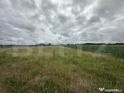 Teren extravilan 5000mp de vânzare – Zona Amati 