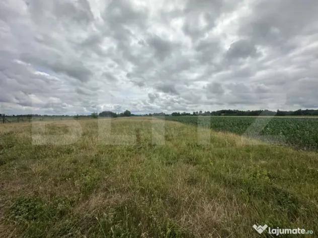 Teren extravilan 5000mp de vânzare – Zona Amati