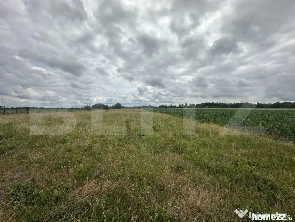 Teren extravilan 5000 mp de vânzare – zona Amati