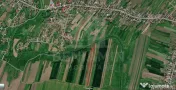 2 loturi de teren - total 9000mp - Pielesti 