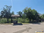 Casa traditionala, cu 2.000mp teren roditor, Izvoarele, Prah
