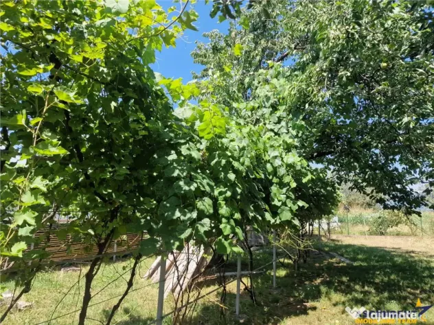 Casa traditionala, cu 2.000mp teren roditor, Izvoarele, Prah