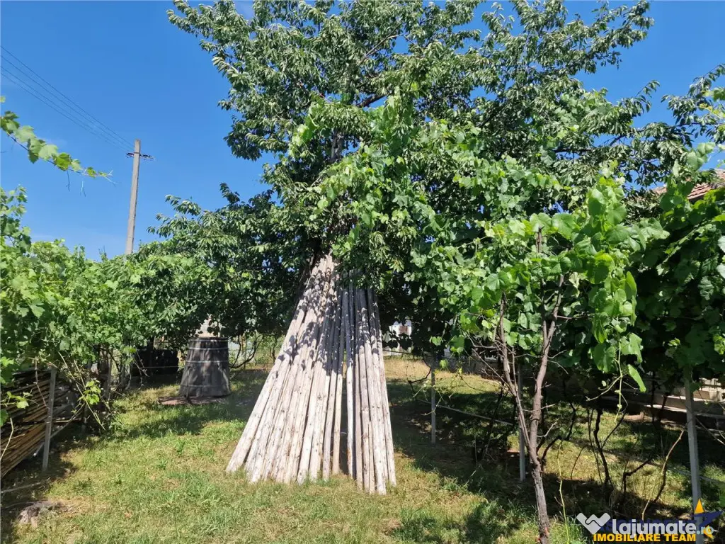 Casa traditionala, cu 2.000mp teren roditor, Izvoarele, Prah