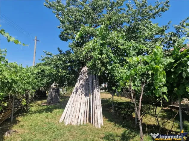Casa traditionala, cu 2.000mp teren roditor, Izvoarele, Prah