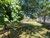 Casa traditionala, cu 2.000mp teren roditor, Izvoarele, Prah