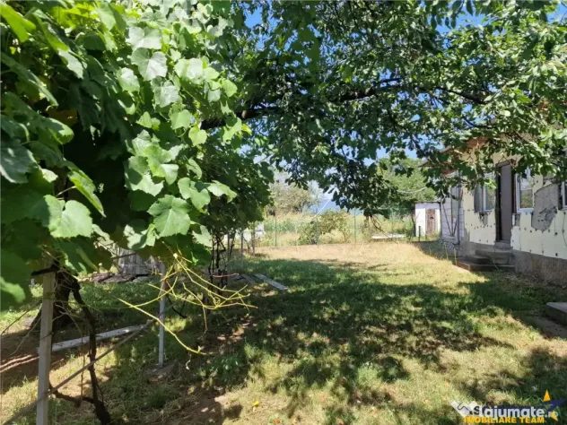 Casa traditionala, cu 2.000mp teren roditor, Izvoarele, Prah