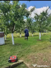 Teren intravilan casă