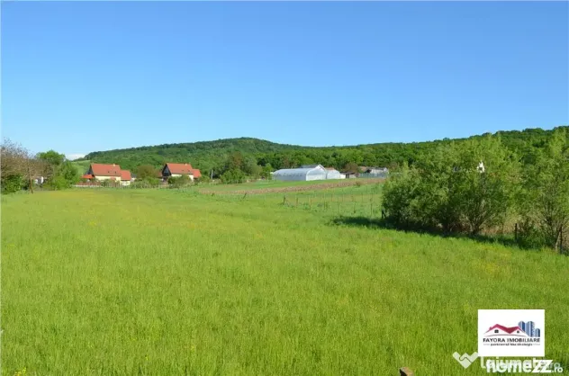 Oportunitate - Teren de Zona Livezeni, Ivanesti