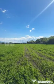 Teren intravilan, 33.737 mp – oportunitate dezvoltare r... 