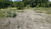 Teren INTRAVILAN 2000MP situat in SANTUHALM cu deschidere la 