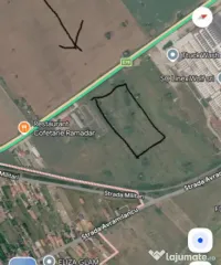 Teren Extravilan de Vânzare – Filiași | Poziție Strateg