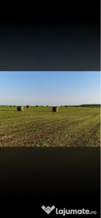 Baloti mari lucerna 