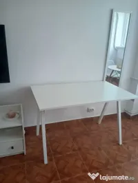 Iancului elev stefanescu etaj 10 