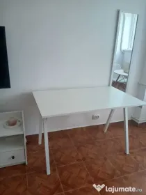Iancului elev stefanescu etaj 10