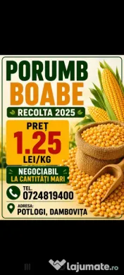 Porumb boabe producție 2025 