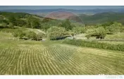 Teren 20.170mp | Livada | Suncuius, Bihor