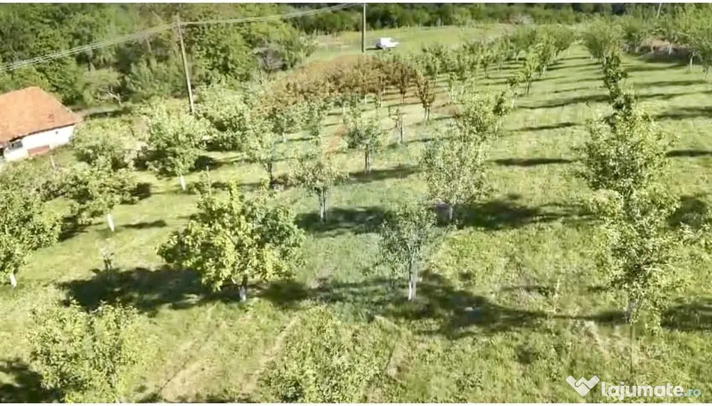 Teren 20.170mp | Livada | Suncuius, Bihor