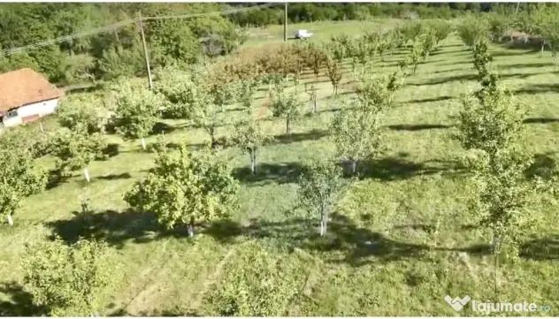 Teren 20.170mp | Livada | Suncuius, Bihor