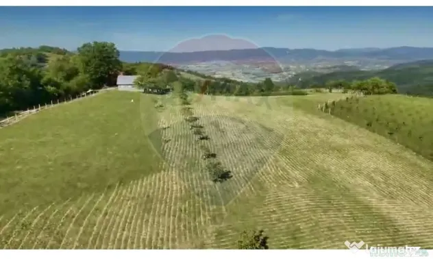 Teren 20.170mp | Livada | Suncuius, Bihor