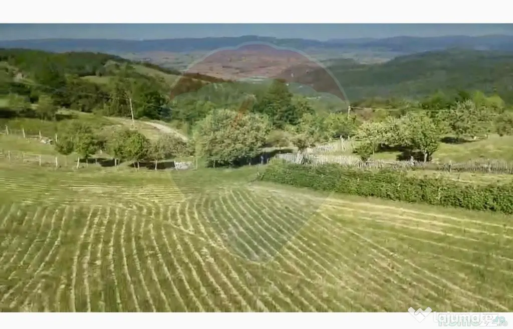 Teren 20.170mp | Livada | Suncuius, Bihor