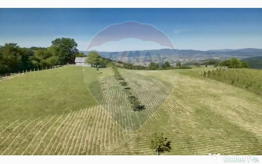 Teren 20.170mp | Livada | Suncuius, Bihor