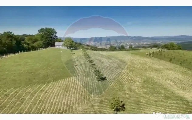 Teren 20.170mp | Livada | Suncuius, Bihor