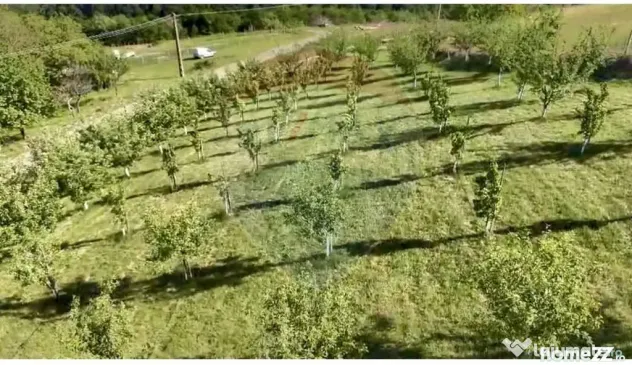 Teren 20.170mp | Livada | Suncuius, Bihor