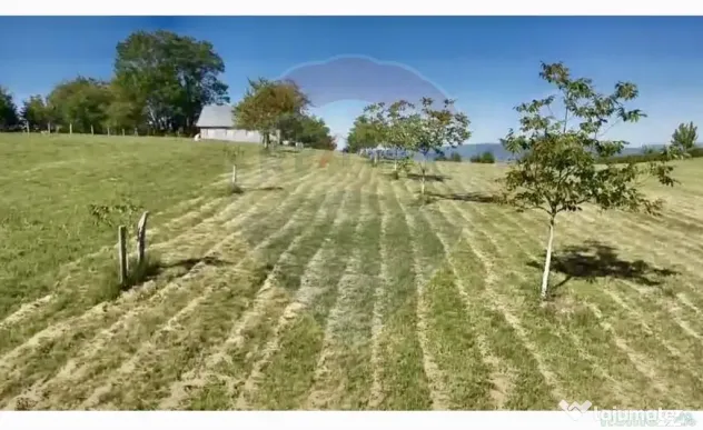 Teren 20.170mp | Livada | Suncuius, Bihor