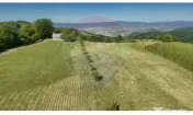 Teren 20.170mp | Livada | Suncuius, Bihor 