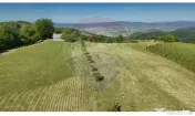 Teren 20.170mp | Livada | Suncuius, Bihor 