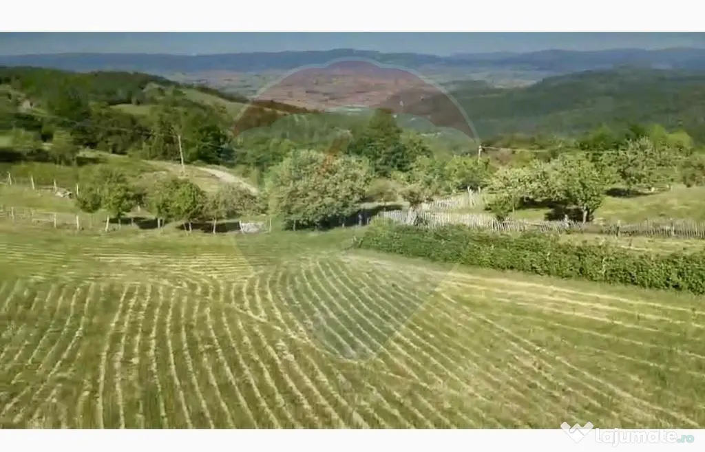 Teren 20.170mp | Livada | Suncuius, Bihor