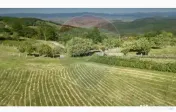Teren 20.170mp | Livada | Suncuius, Bihor 