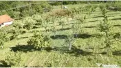 Teren 20.170mp | Livada | Suncuius, Bihor 