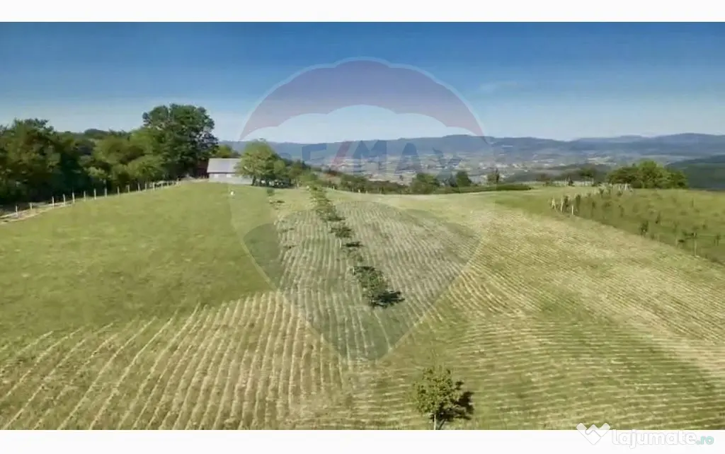 Teren 20.170mp | Livada | Suncuius, Bihor