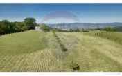 Teren 20.170mp | Livada | Suncuius, Bihor 