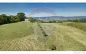 Teren 20.170mp | Livada | Suncuius, Bihor