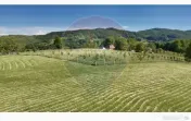 Teren 20.170mp | Livada | Suncuius, Bihor