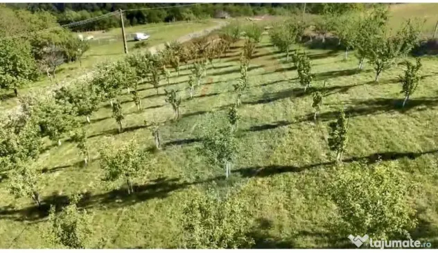 Teren 20.170mp | Livada | Suncuius, Bihor