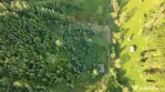 Teren 38,704mp Sirnea | 2.000 mp Intravilan | 36,704 Extr...