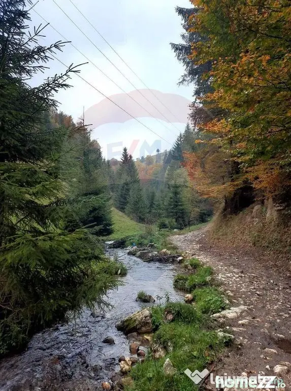 Teren 38,704mp Sirnea | 2.000 mp Intravilan | 36,704 Extr...
