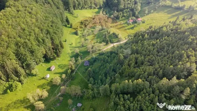 Teren 38,704mp Sirnea | 2.000 mp Intravilan | 36,704 Extr...