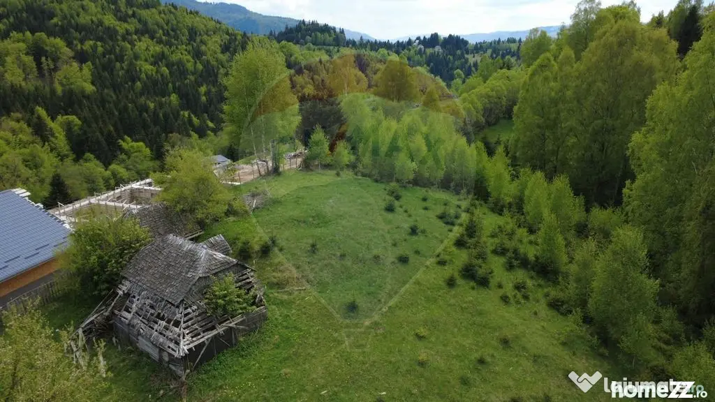 Teren 38,704mp Sirnea | 2.000 mp Intravilan | 36,704 Extr...