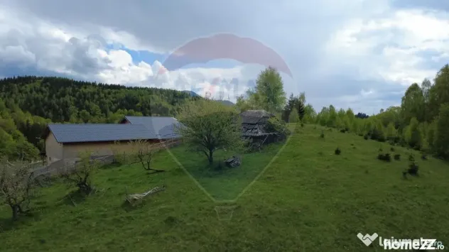 Teren 38,704mp Sirnea | 2.000 mp Intravilan | 36,704 Extr...