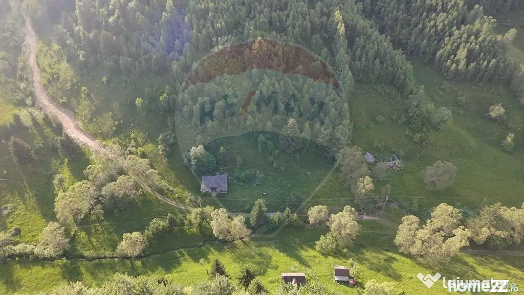 Teren 38,704mp Sirnea | 2.000 mp Intravilan | 36,704 Extr...