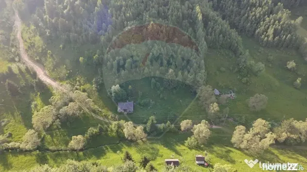 Teren 38,704mp Sirnea | 2.000 mp Intravilan | 36,704 Extr...
