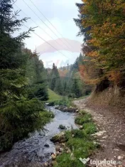 Teren 38,704mp Sirnea | 2.000 mp Intravilan | 36,704 Extr... 
